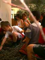 Photo de l'atelier "nid" : � chaque nid son territoire