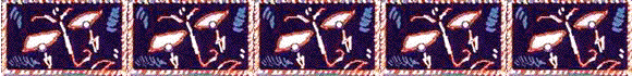 Motifs graphiques issus de l'image de la page d'accueil